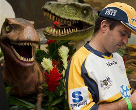 National Dinosaur Museum - Tourism Caloundra 3