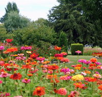 Alma Park - Tourism Caloundra