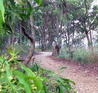 Mount Mutton Walking Trail - Tourism Caloundra