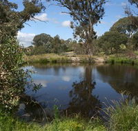Cooleman Ridge - Tourism Caloundra