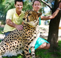 National Zoo  Aquarium - Tourism Caloundra