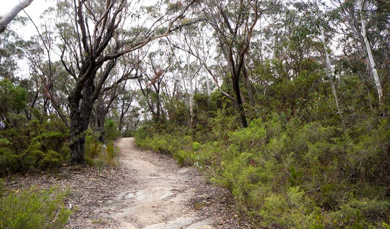 Ganbenang NSW Tourism Caloundra