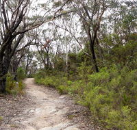 Six Foot walking track - Tourism Caloundra