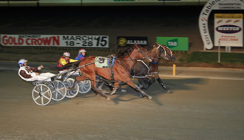 Bathurst Harness Racing Club - Tourism Caloundra 3