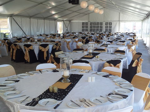 Bathurst Harness Racing Club - Tourism Caloundra 5
