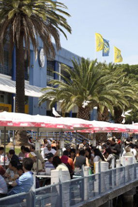 Sydneys Fish Market - Tourism Caloundra 1