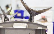 Sydneys Fish Market - Tourism Caloundra 3