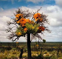 The Delmar Gallery - Tourism Caloundra