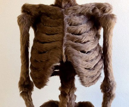 Galleryeight - Tourism Caloundra 2