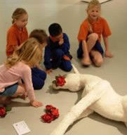 Sackville NSW Tourism Caloundra