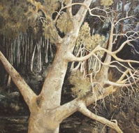 Ku-Ring-Gai Art Centre  Gallery - Tourism Caloundra