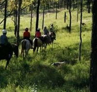 Hunter Valley Horse Riding and Adventures - Tourism Caloundra