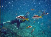Imagine Cruises - Tourism Caloundra 0