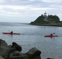 Newcastle Kayak Tours - Tourism Caloundra