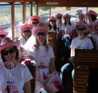 Newcastles Famous Tram - Tourism Caloundra