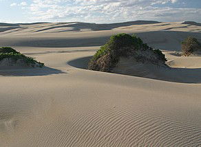 Port Stephens 4WD Tours - Tourism Caloundra 1