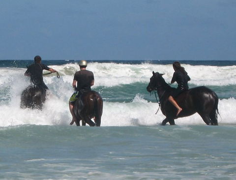 Pegasus Park Equestrian Centre - Tourism Caloundra 0