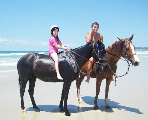 Pegasus Park Equestrian Centre - Tourism Caloundra 1