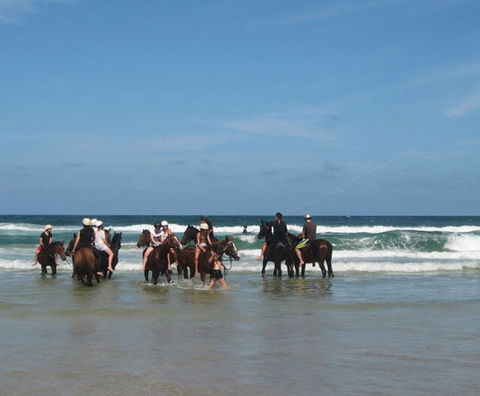 Pegasus Park Equestrian Centre - Tourism Caloundra 2