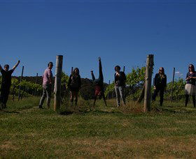 Grape Escape - Tourism Caloundra 3