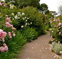 Ross Garden Tours - Tourism Caloundra