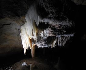 Country Charmâ„¢ Discovery Tours - Tourism Caloundra 1