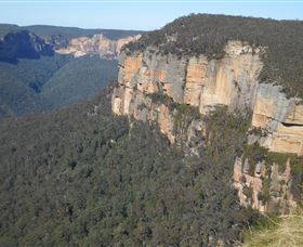 Country Charmâ„¢ Discovery Tours - Tourism Caloundra 4