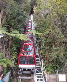 Country Charmâ„¢ Discovery Tours - Tourism Caloundra 6