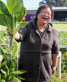 TCP Day Tours - Tourism Caloundra 3