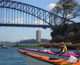 Natural Wanders - Tourism Caloundra 3
