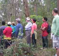 Boronia Tours - Tourism Caloundra