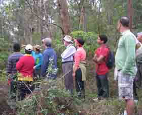 Boronia Tours - Tourism Caloundra 0