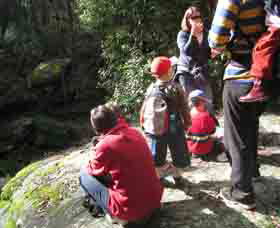 Boronia Tours - Tourism Caloundra 2