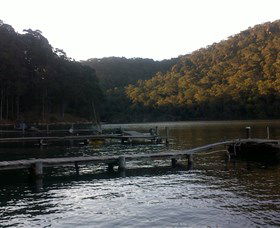 Church Point Ferry Service - Tourism Caloundra 5