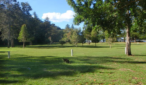 The Basin Picnic Area - Tourism Caloundra 1