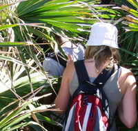 Palm Jungle loop track - Tourism Caloundra