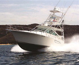 1300 Big Fish - Tourism Caloundra 0