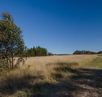 Scheyville horse riding trails - Tourism Caloundra
