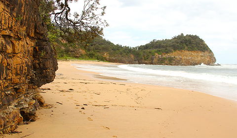 Bouddi Coastal Walk - Tourism Caloundra 1