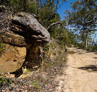 Canoelands Ridge walking track - Tourism Caloundra