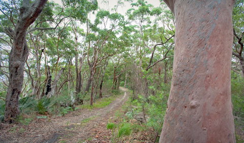 Strom Loop - Tourism Caloundra 3