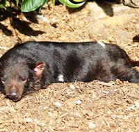 Symbio Wildlife Park - Tourism Caloundra