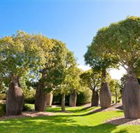 Mt Penang Gardens - Tourism Caloundra