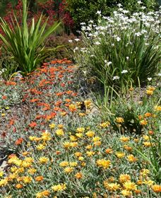 Mt Penang Gardens - Tourism Caloundra 4