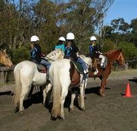 Darkes Forest Riding Ranch - Tourism Caloundra