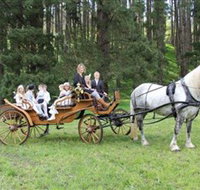 Classic Carriage Drives - Tourism Caloundra