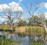 Lagoon Creek - Tourism Caloundra