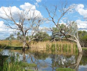Lagoon Creek - Tourism Caloundra 0