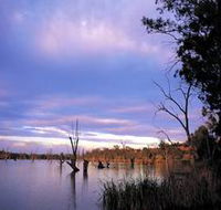 Loch Luna Game Reserve and Moorook Game Reserve - Tourism Caloundra