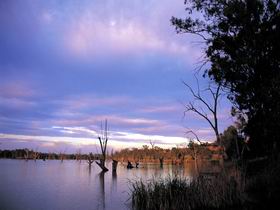 Loch Luna Game Reserve And Moorook Game Reserve - Tourism Caloundra 0